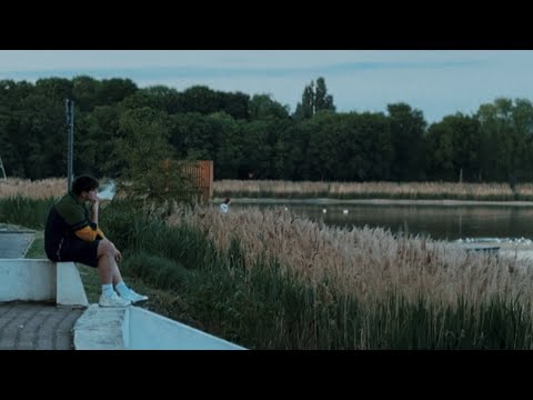 Hedge. - ps