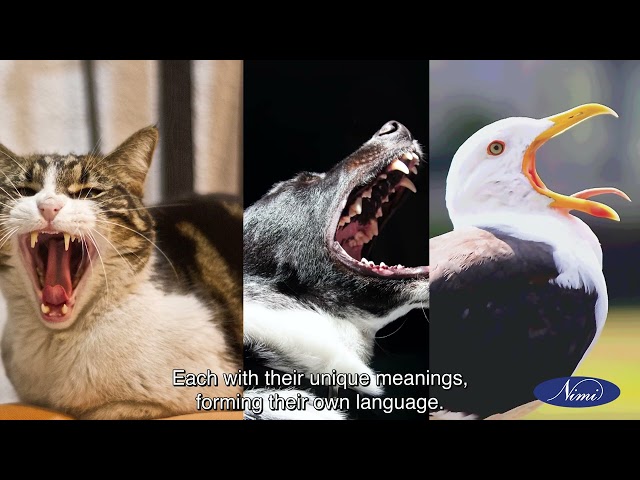 A Communication