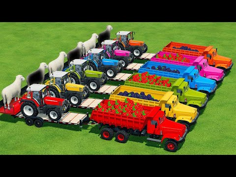 LOAD AND TRANSPORT STRAWBERRY & BLACKBERRY FRUITS WITH LANDINI TRACTORS - Farming Simulator 22