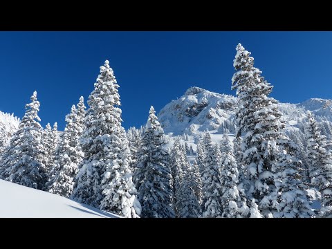 🎧 Marin Hoxha, Alban Chela, Vinsmoker - OMG (feat. Taylor Mosley)Music Underground NoCopyright Music