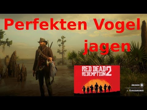 Perfekte Vögel jagen Red Dead Redemption 2