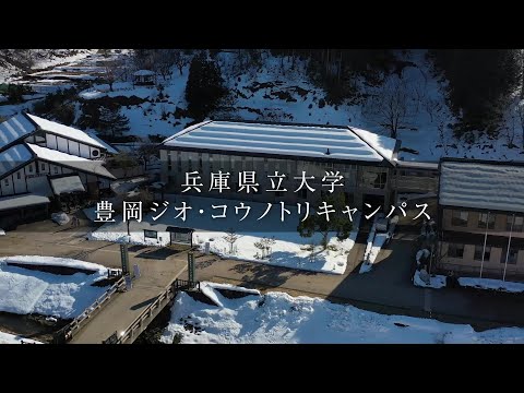 シレジア地域文化レジャーパーク - 定義