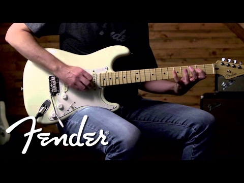 Fender Vintage Noiseless Stratocaster® Pickups -- DIRTY | Fender