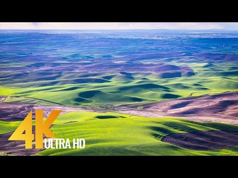 4K Nature Documentary "Beautiful Washington". Episode 6 - Trailer