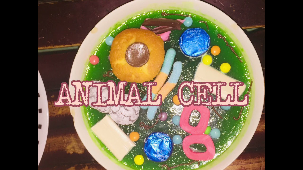 PERFORMANCE TASK-EDIBLE CELL