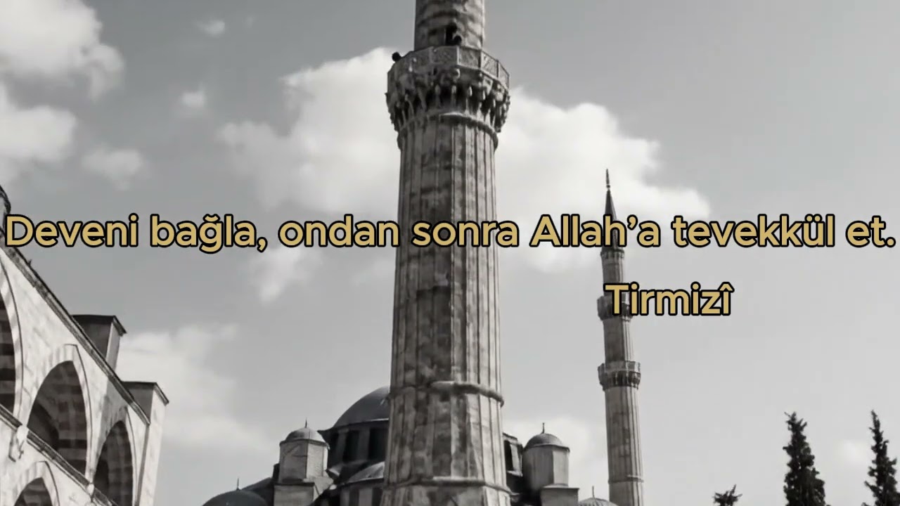 Tevekkül Nedir, Nasıl Olur? | Hadis