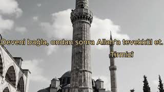 Tevekkül Nedir, Nasıl Olur? | Hadis