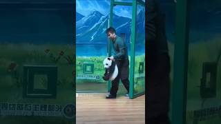 Download lagu Bayi Panda Ini Nakal Banget! 😨 #shorts mp3