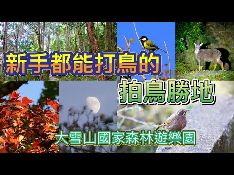 Área de recreação da floresta nacional de Daxueshan em outubro de 2023