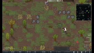 Video 4