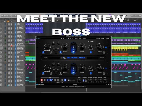 The Black Box Analog Design HG-2MS Sounds Amazing! | This New Saturation Plugin is My New Favorite!