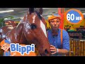 Blippi Explores Jungle Animals Learning Videos For Kids Education Show For Toddlers