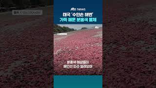 수안손 해변 메운 분홍색 물체…태국 정부 "만지지 말라" 당부 #JTBC #Shorts