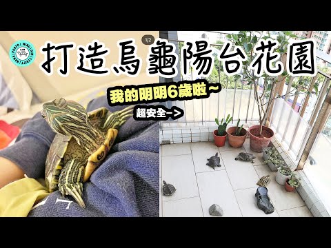 陽台養烏龜