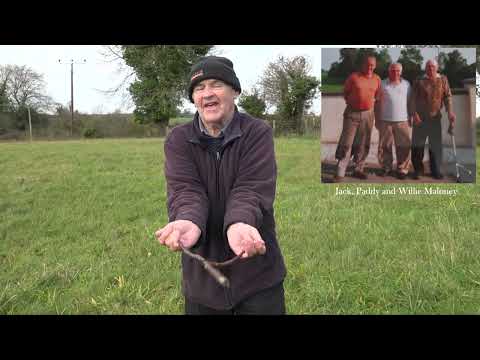 Jack Maloney, Ballybritt, Roscrea, Co. Offaly  -  The Water Diviner (From 'Folklore and Memory')