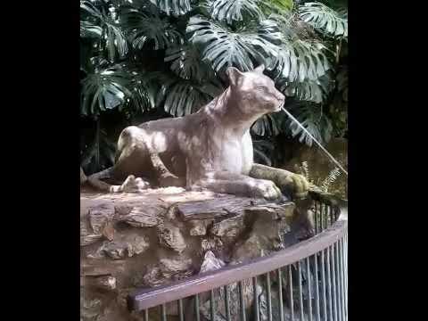 Fuimos al salu de visita co la escuela N 66 punta de los chanchos parte 1