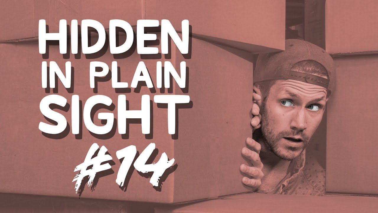 Can You Find Him in This Video? • Hidden in Plain Sight #14