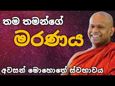 තම තමන්ගේ මරණය | Venerable Welimada Saddaseela Thero | @Namobuddaya1