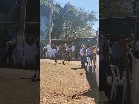 Festa de Fortaleza de Minas