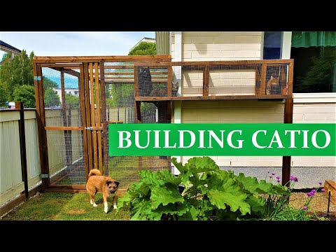 CATIO - CAT PATIO - CAT HOUSE - How to BUILD