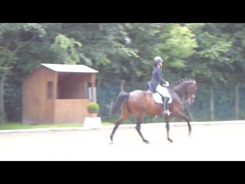 Snapshot Dressurprüfung – Westküstenturnier 2017