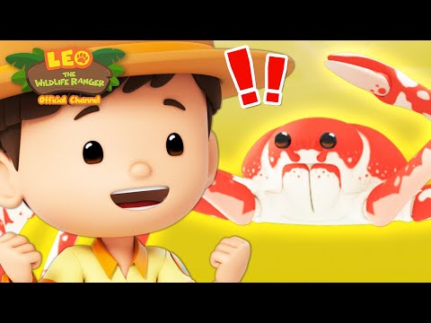 Witness21  2023 11 23