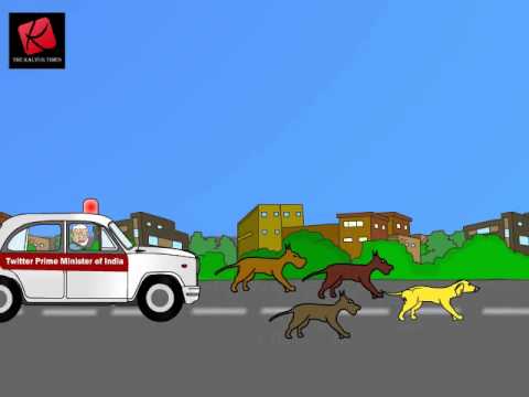 Who let the dogs out? Narendra Modi!