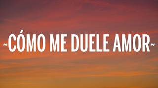 La Mafia - Cómo Me Duele Amor (Letra/Lyrics)