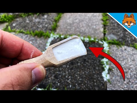 Streue DAS auf dein UNKRAUT und es STIRBT 💥 (SO einfach war es NOCH NIE) 🤯