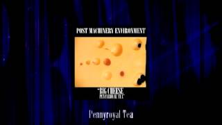 Post Machinery Environment - Pennyroyal Tea [Nirvana cover]