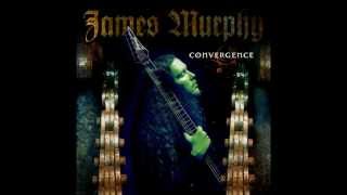 James Murphy - The Last One