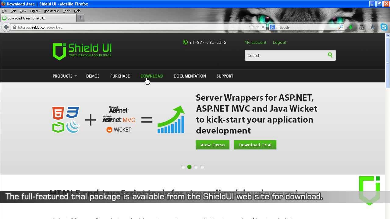 Setting Up Shield UI Javascript Chart