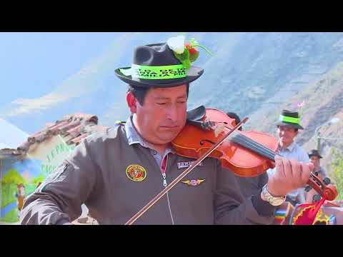 💘🍺 VIOLIN vs VIOLIN Tonada NEGRILLO de ANDAHUAYLAS (Ulises Molina) 🎶🌺🎻