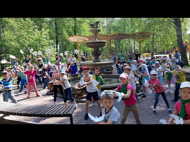 Элология акциясе