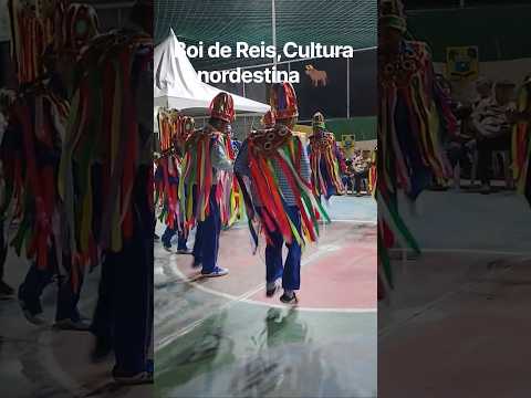 #culturapopulanordestina#boidereis#cultura #saojosedemipibu#riograndedonorte
