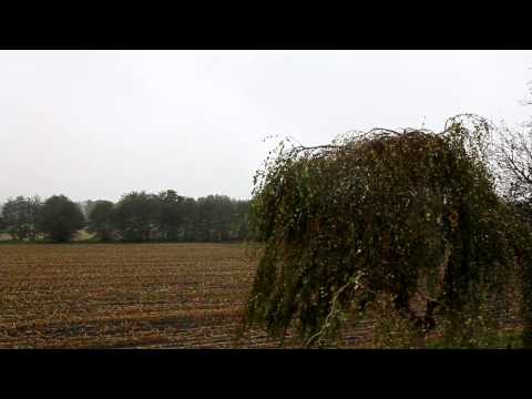 Schiet Wedder anne Küst