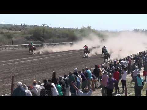 FORASTERO  Club Hipico "Los Olivillos" -   Chimpay - 15/ 10/ 2022