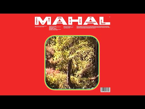 Video thumbnail for Magazine (Live)