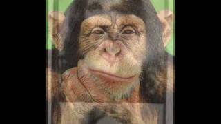 ARE YOU TOO CLEVER - LARRY CORYELL