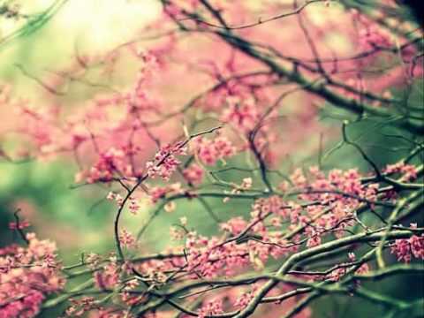 Alexandre Guerra - Movimento de Primavera (com texto)