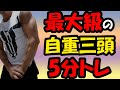 自重のみで鍛える強烈上腕三頭筋の5分間トレーニング【5minute Triceps Work out】