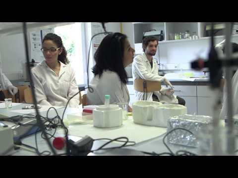 Science without Borders Hungary: Internship at the University of Szeged