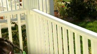 Erykah's doll olympics