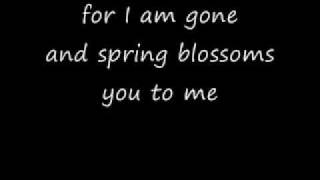 My Paper Heart-The All-American Rejects Lyrics Video