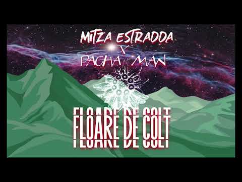 Mitza Estradda - Floare de colt ft. Pacha Man
