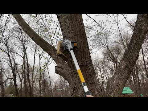 DEWALT 20V MAX XR Pole Saw, 15-Foot Reach (DCPS620M1)