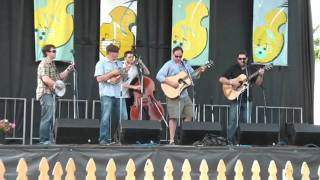 Bluegrass Collective - 