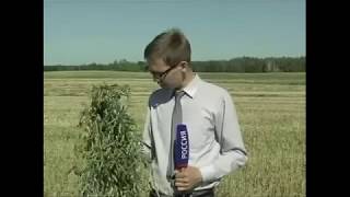 ПРИКОЛЫ в прямом эфире