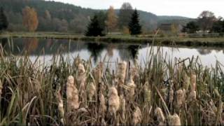 preview picture of video 'Herbst in der Oberpfalz'