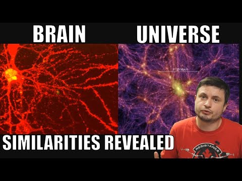 Structure Of The Brain VS. The Universe - Actual Similarities Found